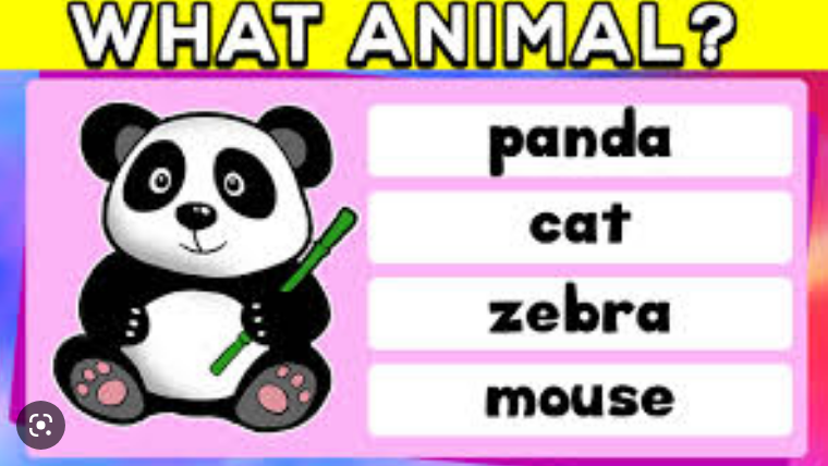 English Quiz